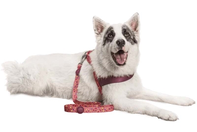 Morso hondenriem gerecycled pink think roze - Afbeelding 3