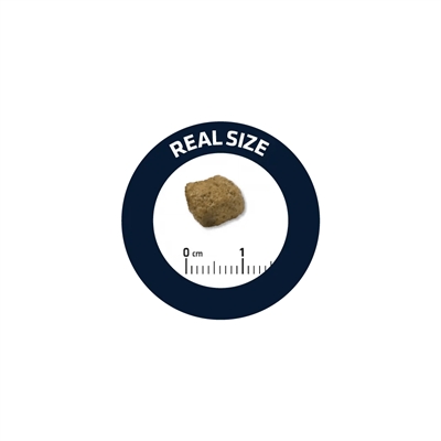 Advance veterinary diet dog diabetes - Afbeelding 2