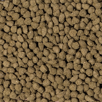 Beaphar care+ konijn senior - Afbeelding 2