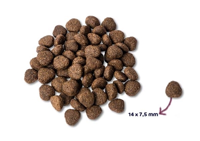 Renske super premium adult zalm graanvrij hypoallergeen - Afbeelding 2