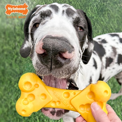 Nylabone dura chew cheese bone - Afbeelding 4