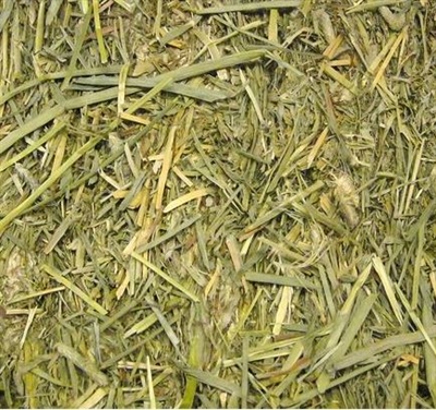 Beaphar care+ timothy hooi - Afbeelding 2