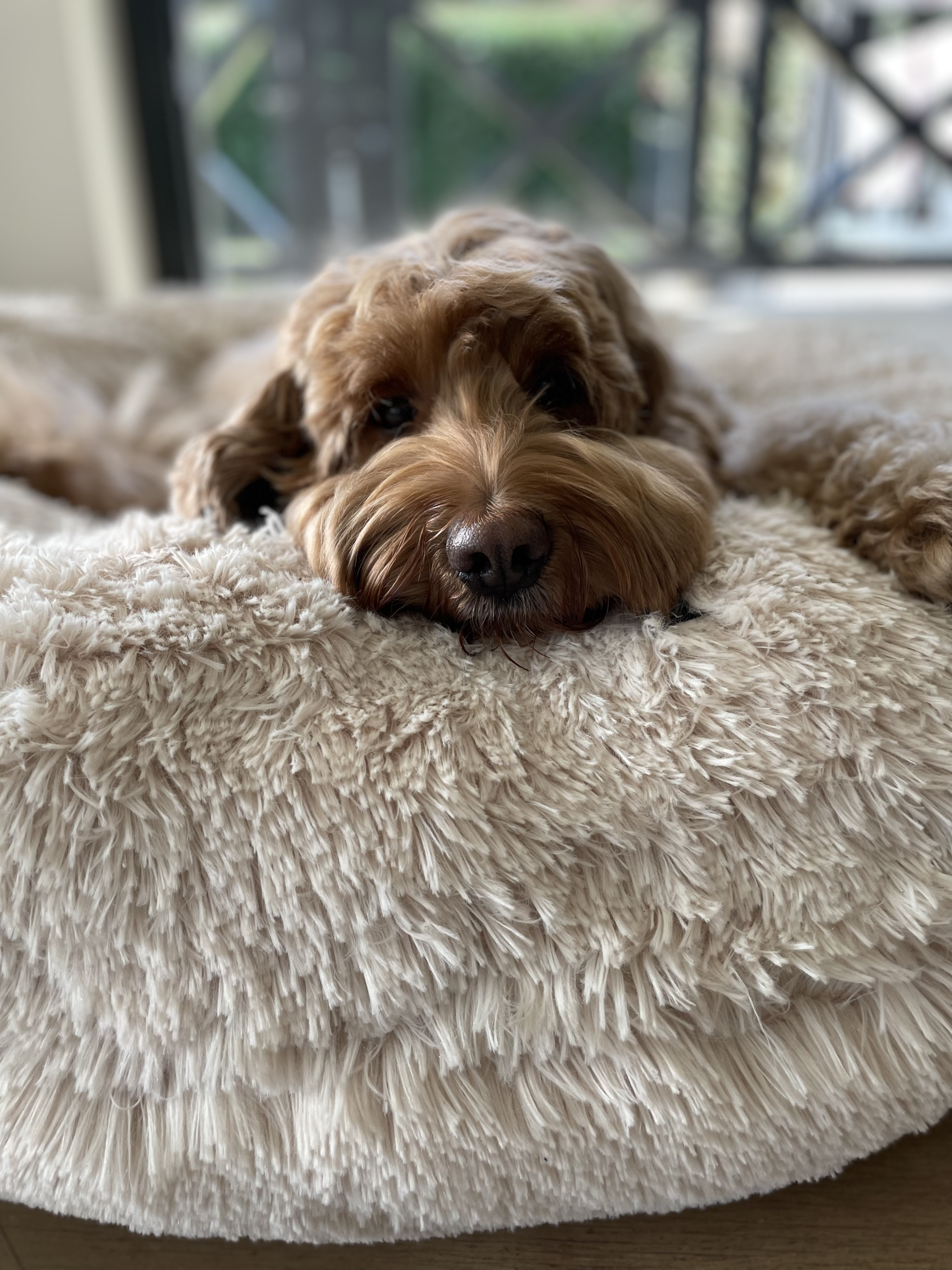 Bessie and barnie hondenmand bagel bed blondie - Afbeelding 2