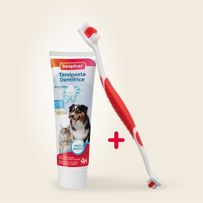 Beaphar tandpasta en borstel combi-pack - Afbeelding 3