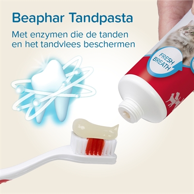 Beaphar tandpasta en borstel combi-pack - Afbeelding 5