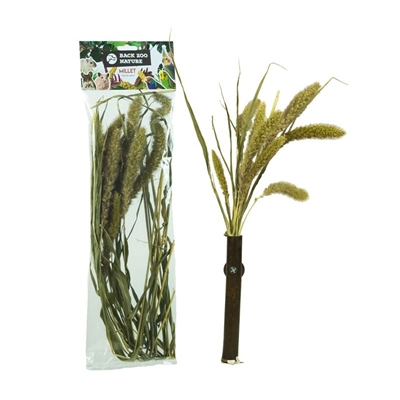 Back zoo nature millet setaria - Afbeelding 2