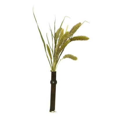 Back zoo nature millet setaria - Afbeelding 3
