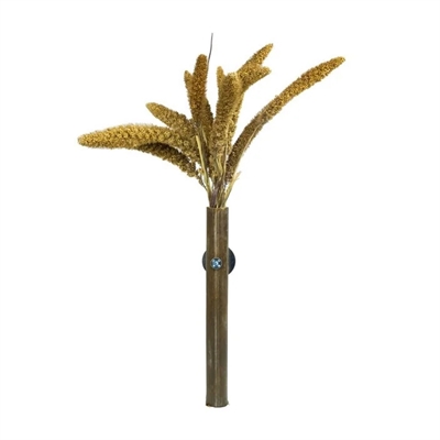 Back zoo nature millet setaria italica - Afbeelding 3