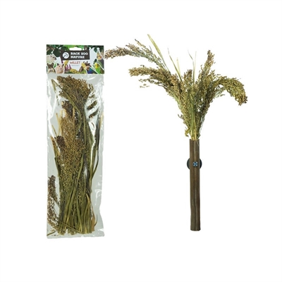 Back zoo nature millet panicum - Afbeelding 2
