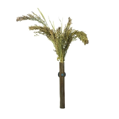Back zoo nature millet panicum - Afbeelding 3