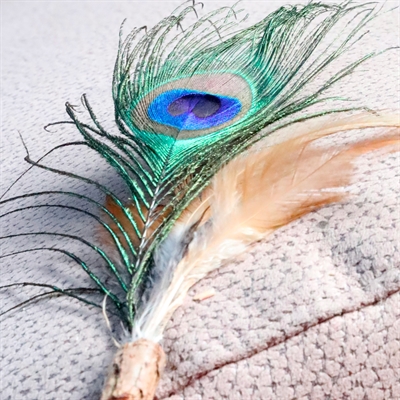 Croci euphoria kattenhengel matatabi pauwenveer - 12 cm - Afbeelding 2