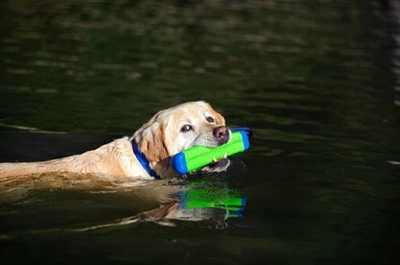 Chuckit amphibious bumper assorti - Afbeelding 5