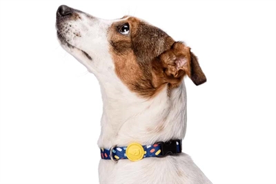 Morso halsband hond gerecycled color invaders paars - Afbeelding 3