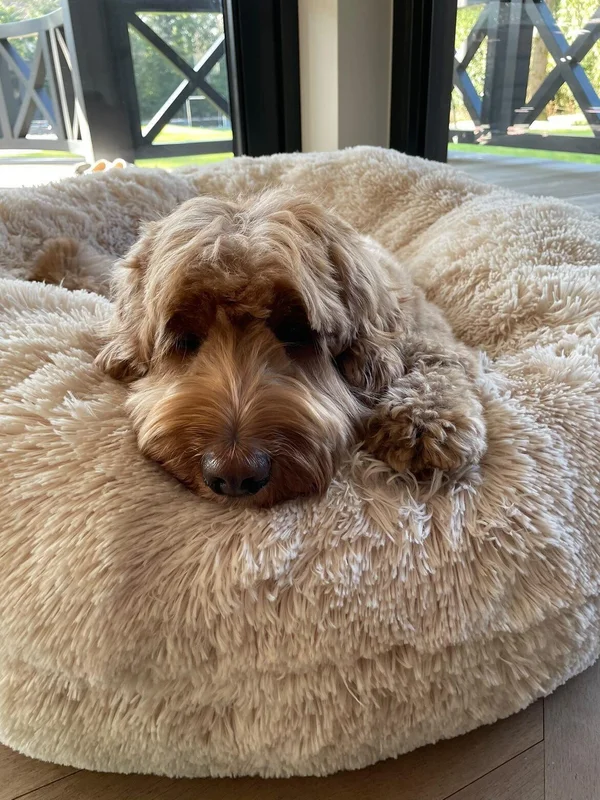 Bessie and barnie hondenmand bagel bed midnight frost - Afbeelding 5