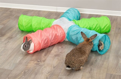 Trixie speeltunnel met 5 gangen uitbreidbaar cavia / dwergkonijn - 47x18x18 cm - Afbeelding 7