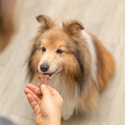Trixie bakmat voor dierensnacks botvorm bpa vrij grijs - 24x29 cm - Afbeelding 9