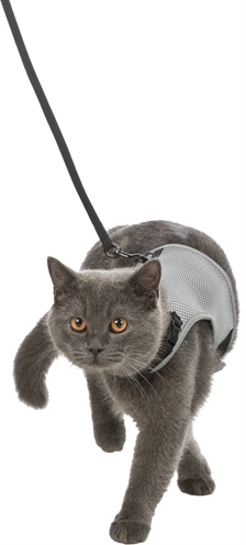Trixie kattentuig soft met riem assorti - 24-42 cmx1,2 mtr - Afbeelding 7