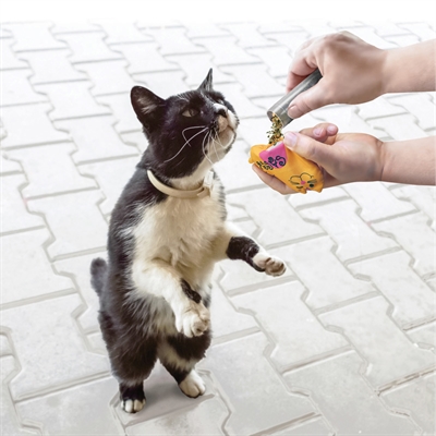 Kong refillables catnip kattenkruid buisjes - 3 st - Afbeelding 3