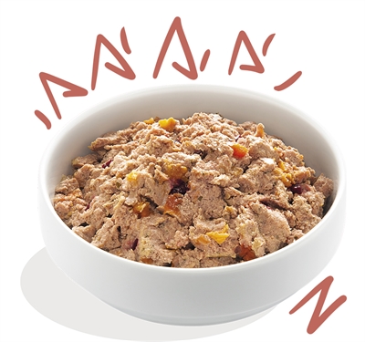 Edgard & cooper senior kip / zalm kuipje graanvrij - 11x150 gr - Afbeelding 2