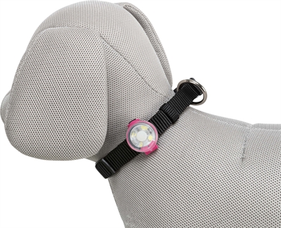 Trixie usb flasher assorti - 3x3x8 cm - Afbeelding 13