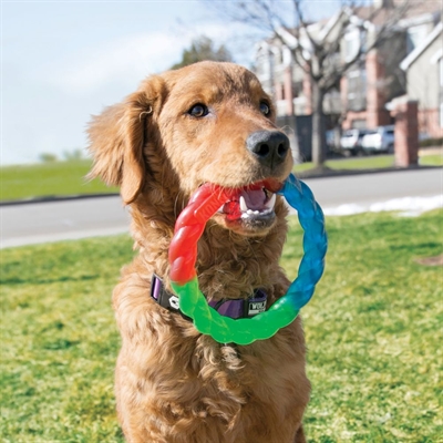 Kong twistz ring - 17x2,5x17 cm - Afbeelding 2