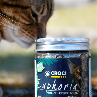 Croci euphoria catnip pot - 25 gr - Afbeelding 3