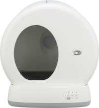 412856
